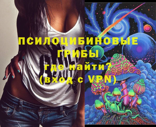 PSILOCYBIN Бородино